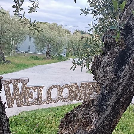 Villa The Secret Olive House Nea Michaniona Exterior foto