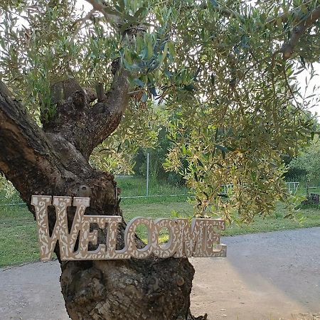 Villa The Secret Olive House Nea Michaniona Exterior foto