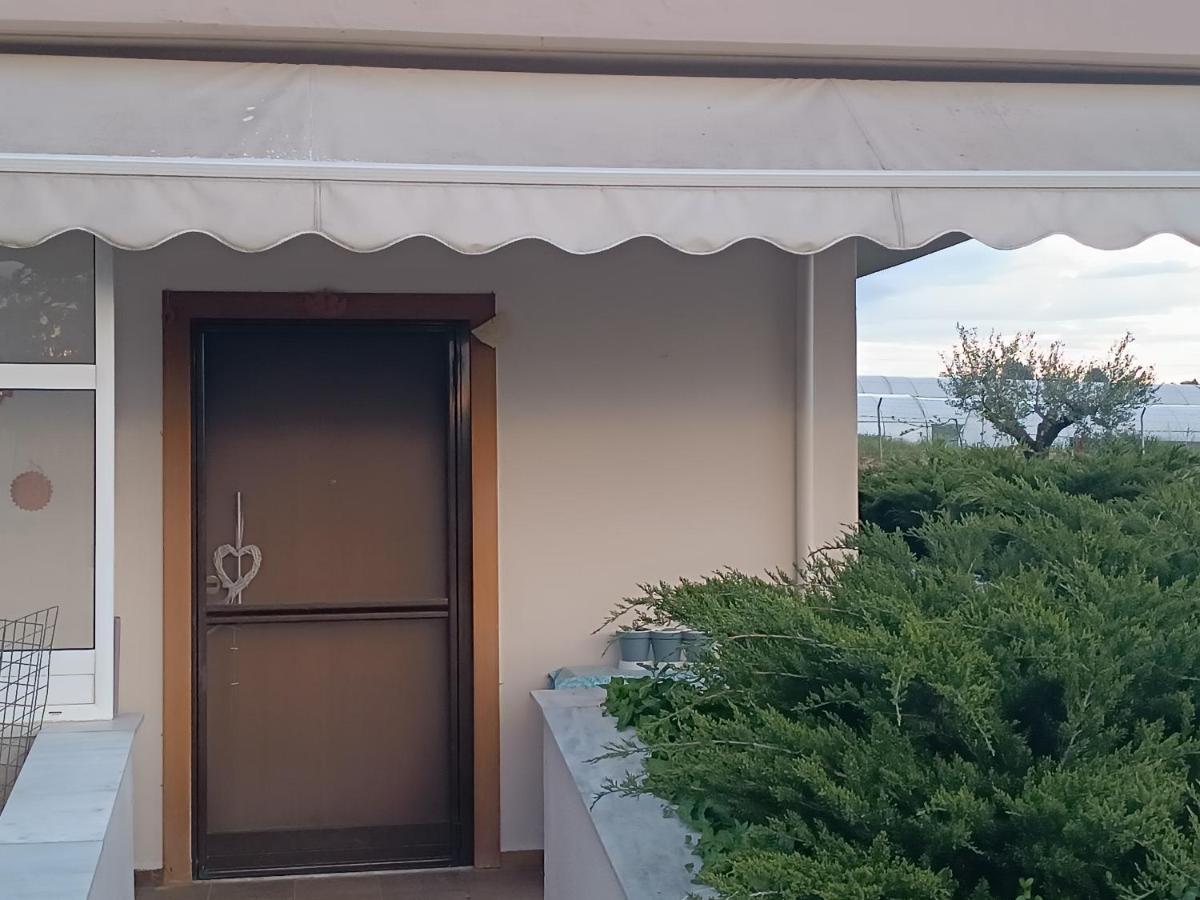 Villa The Secret Olive House Nea Michaniona Exterior foto