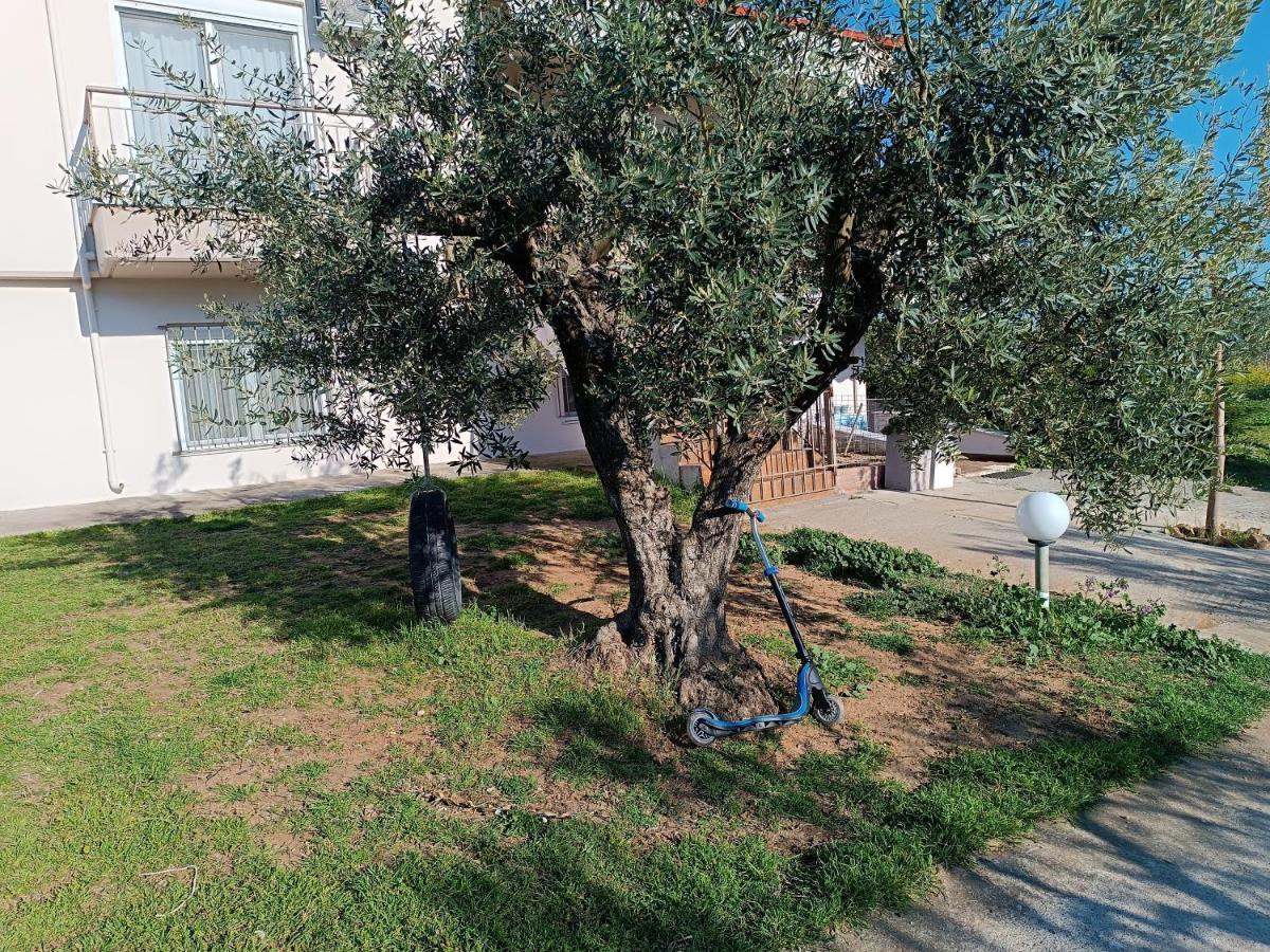 Villa The Secret Olive House Nea Michaniona Exterior foto