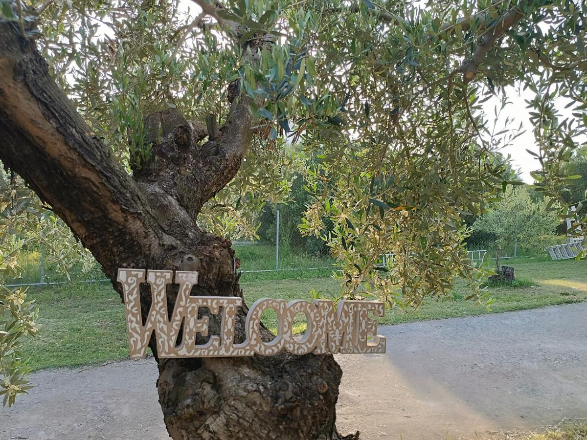 Villa The Secret Olive House Nea Michaniona Exterior foto
